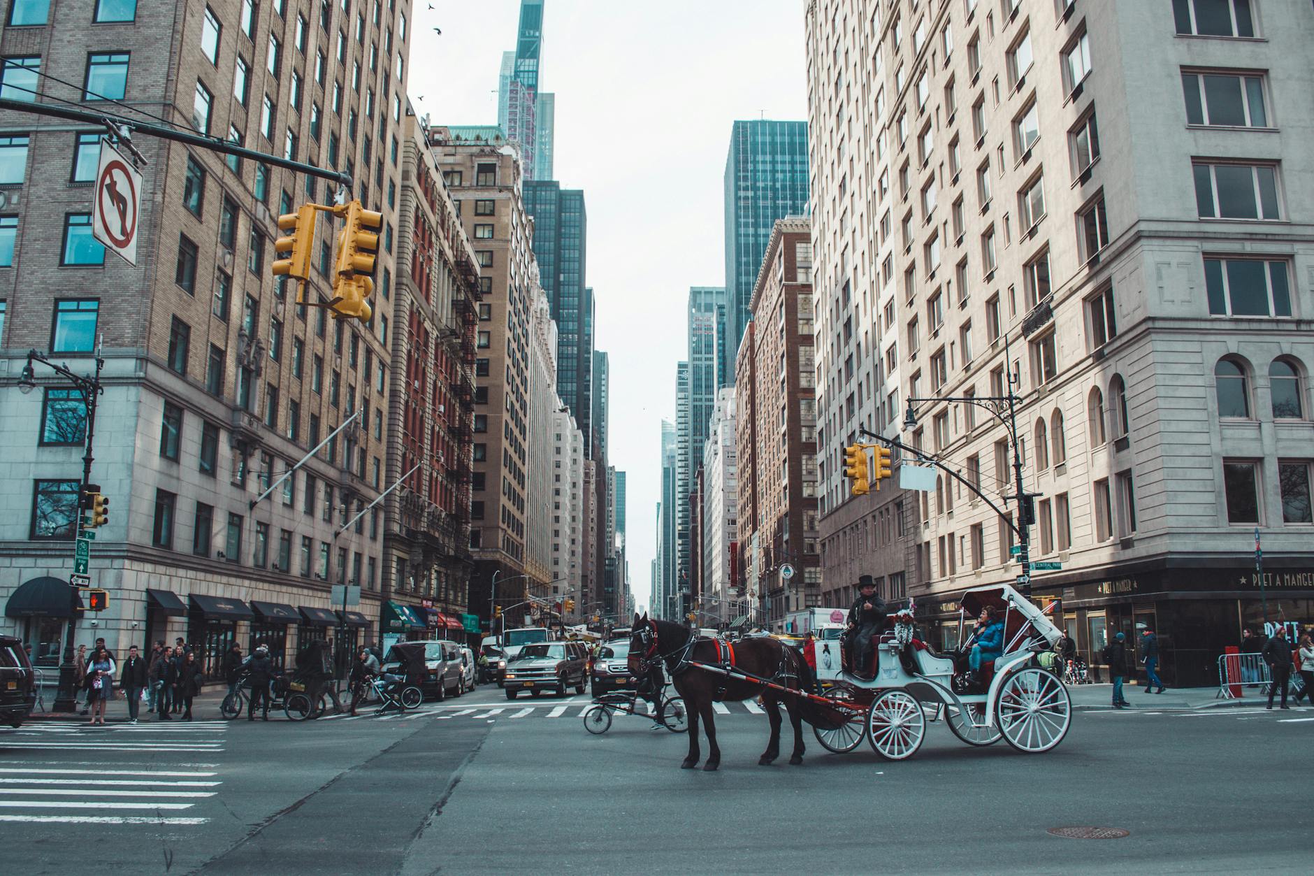 Carruaje de caballos en Nueva York