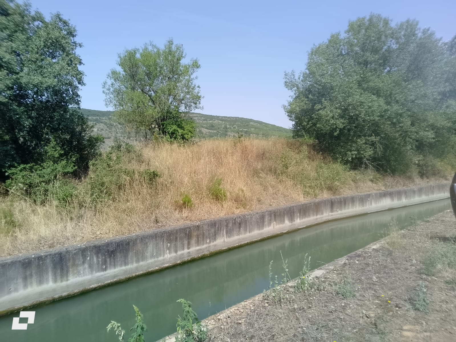 Vuelvepiedras, el segundo lince muerto por causas no naturales desde su reintroducción en Palencia