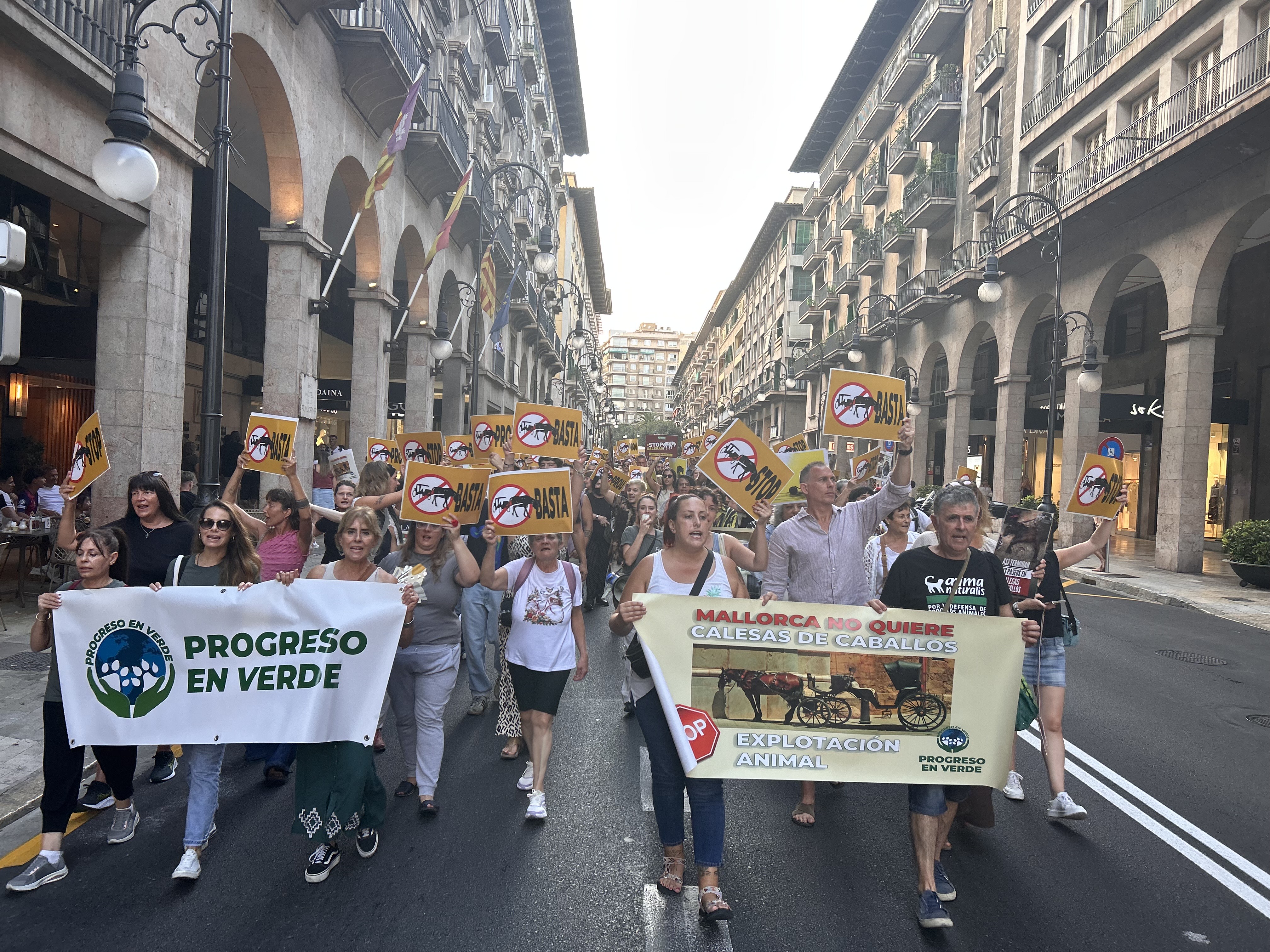 Más de 200 personas piden poner fin a las galeras de caballos en Palma de Mallorca