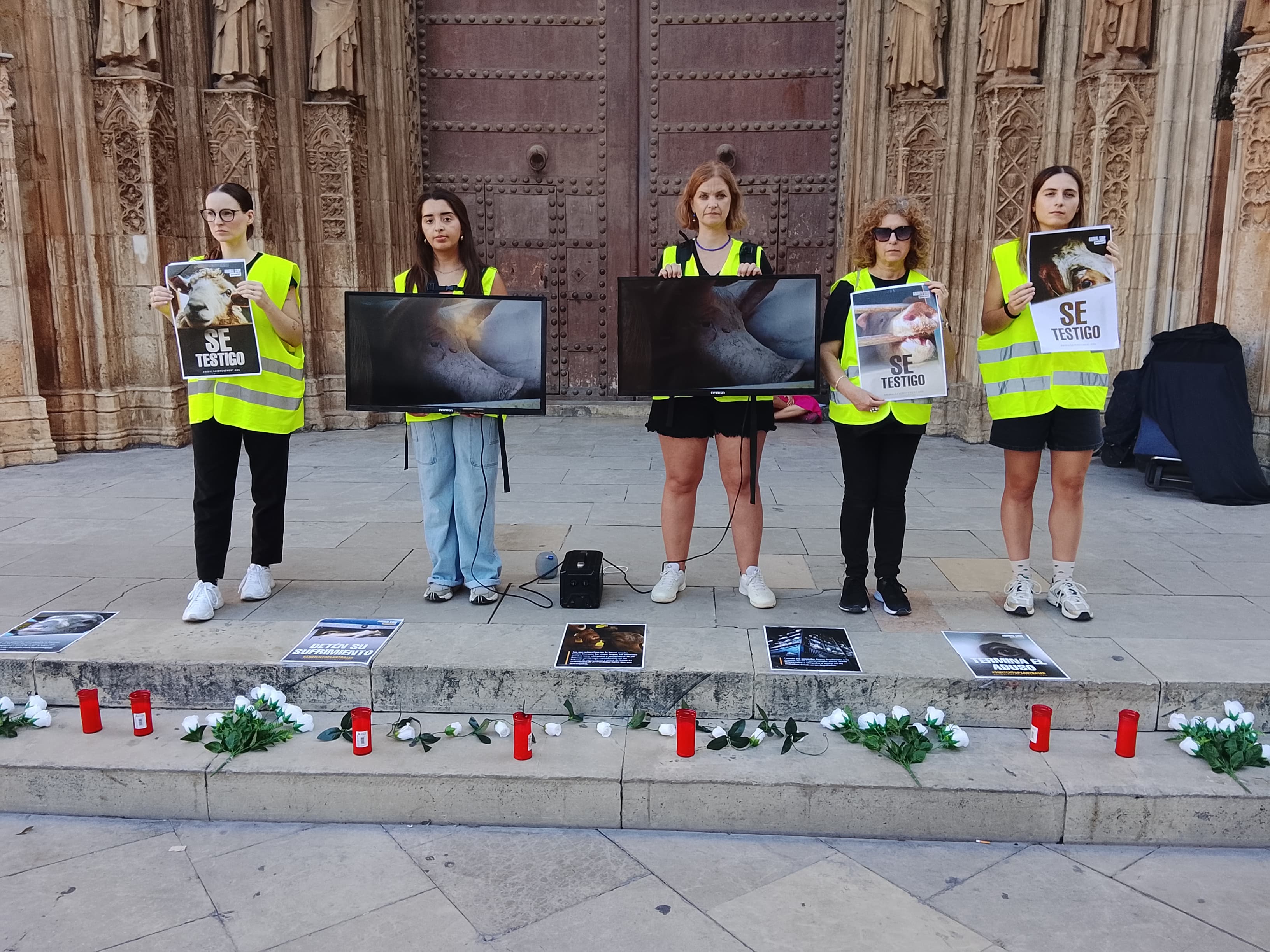 «Vigilia en la ciudad» por el Día de los Animales en Valencia