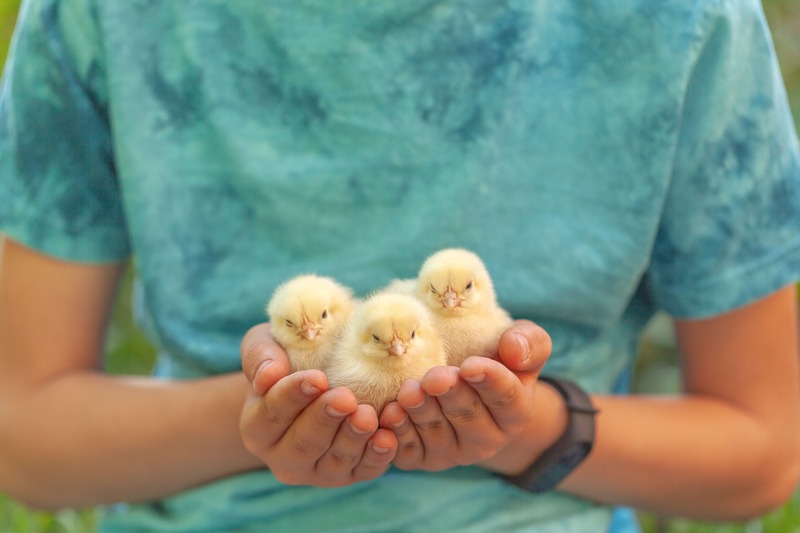 Veganuary celebra el Día Mundial del Veganismo con una llamada a la acción