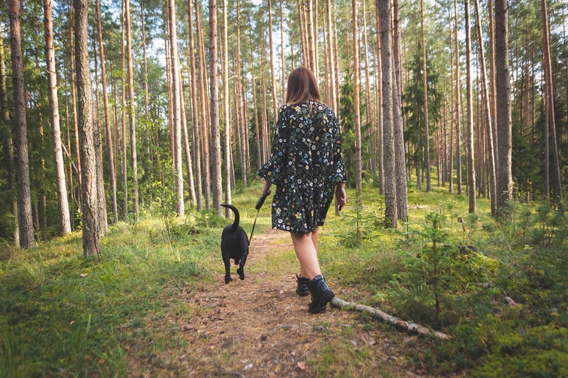 Mujer pasea con su perro en el bosque