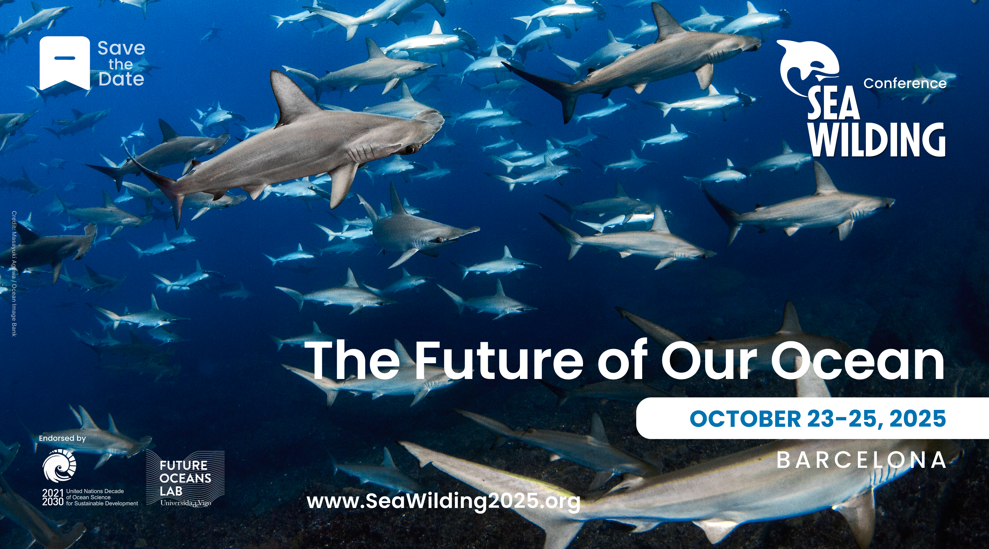 Barcelona acogerá el debate sobre el futuro de los océanos en la SeaWilding 2025