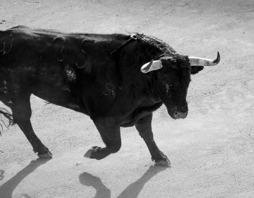 Corrida de toros en Ciudad de México