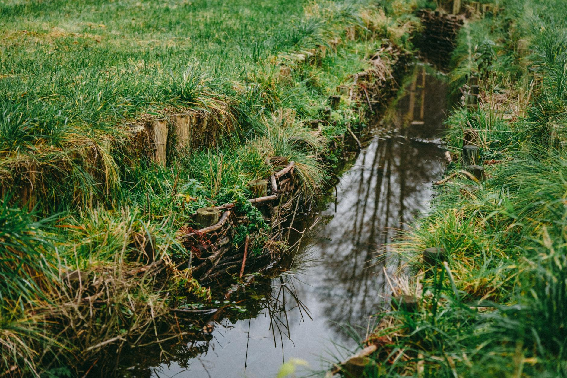 Demandan a la Administración estadounidense por permitir que los mataderos contaminen las vías fluviales