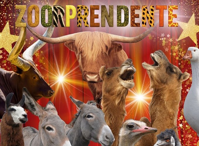 Circ de Nadal 2025 con animales