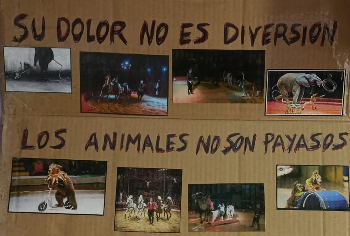 Pancarta en una protesta contra el Circ de Nadal en Valencia