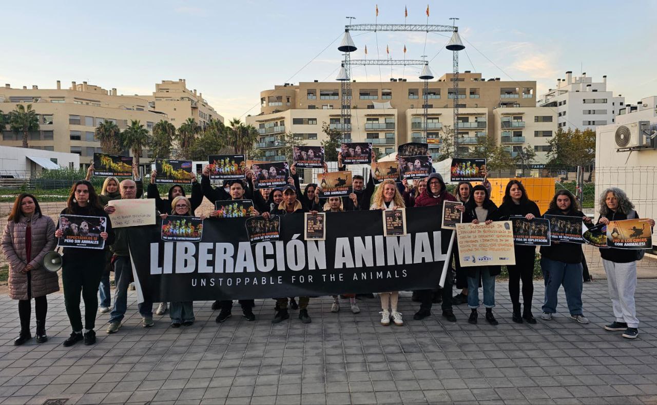 El Circ de Nadal insiste en el uso de animales en sus funciones en Valencia, pese a las protestas