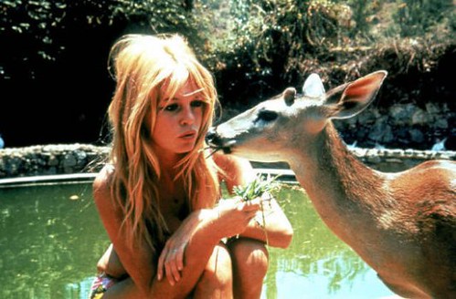 Brigitte Bardot, la animalista cuya labor se vio empañada por la xenofobia