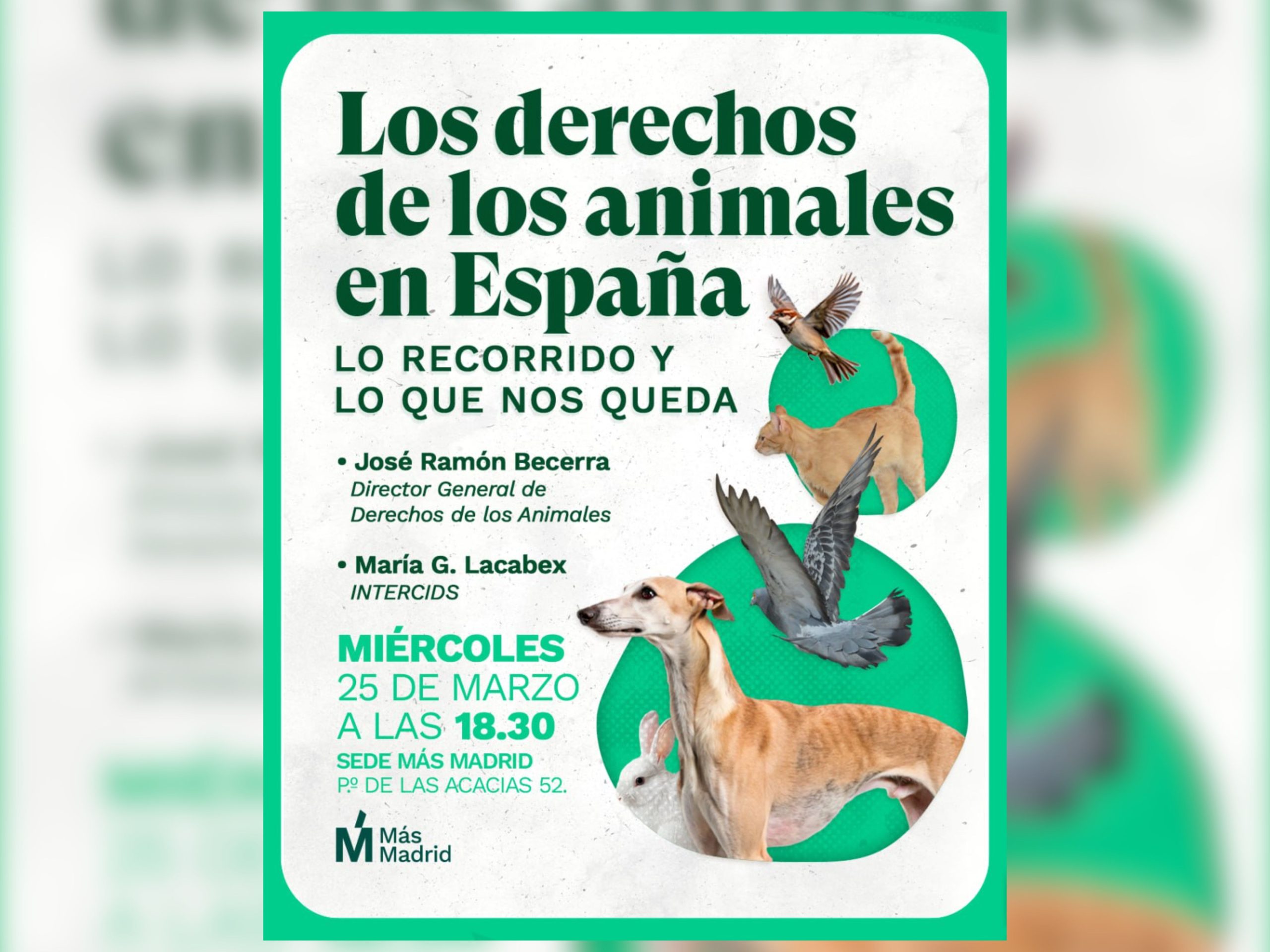 Charla Los derechos de los animales en España