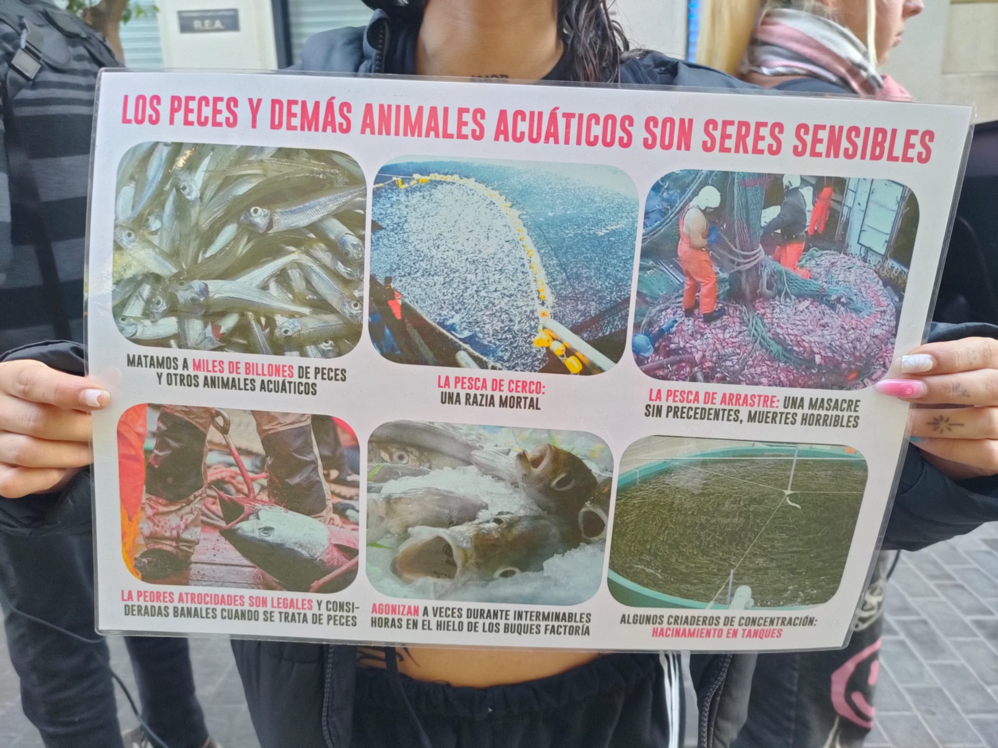Día Mundial por el Fin de la Pesca: acciones en Valencia y Alicante