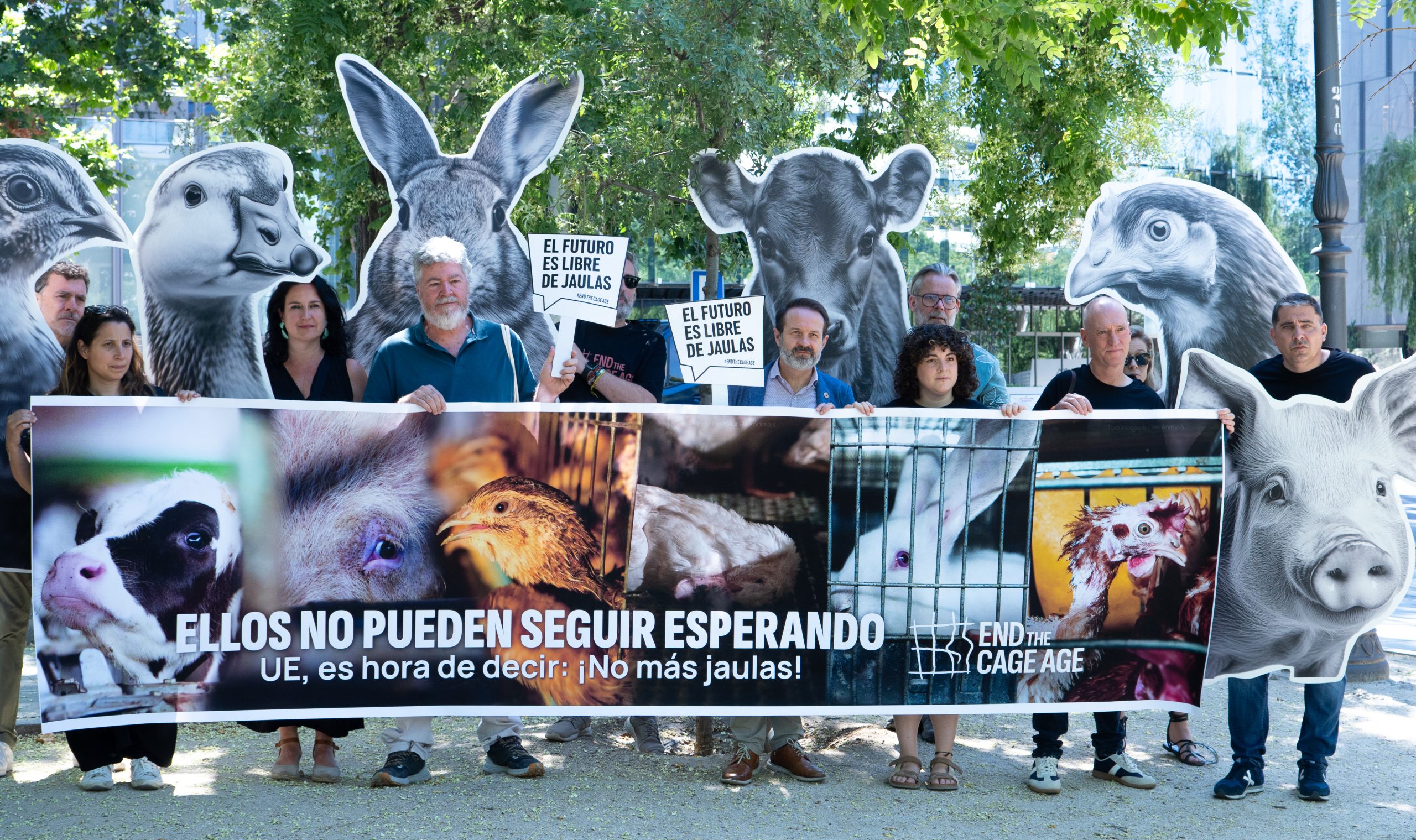 Cinco años de promesas incumplidas: la coalición End The Cage Age pide la prohibición de las jaulas en Madrid