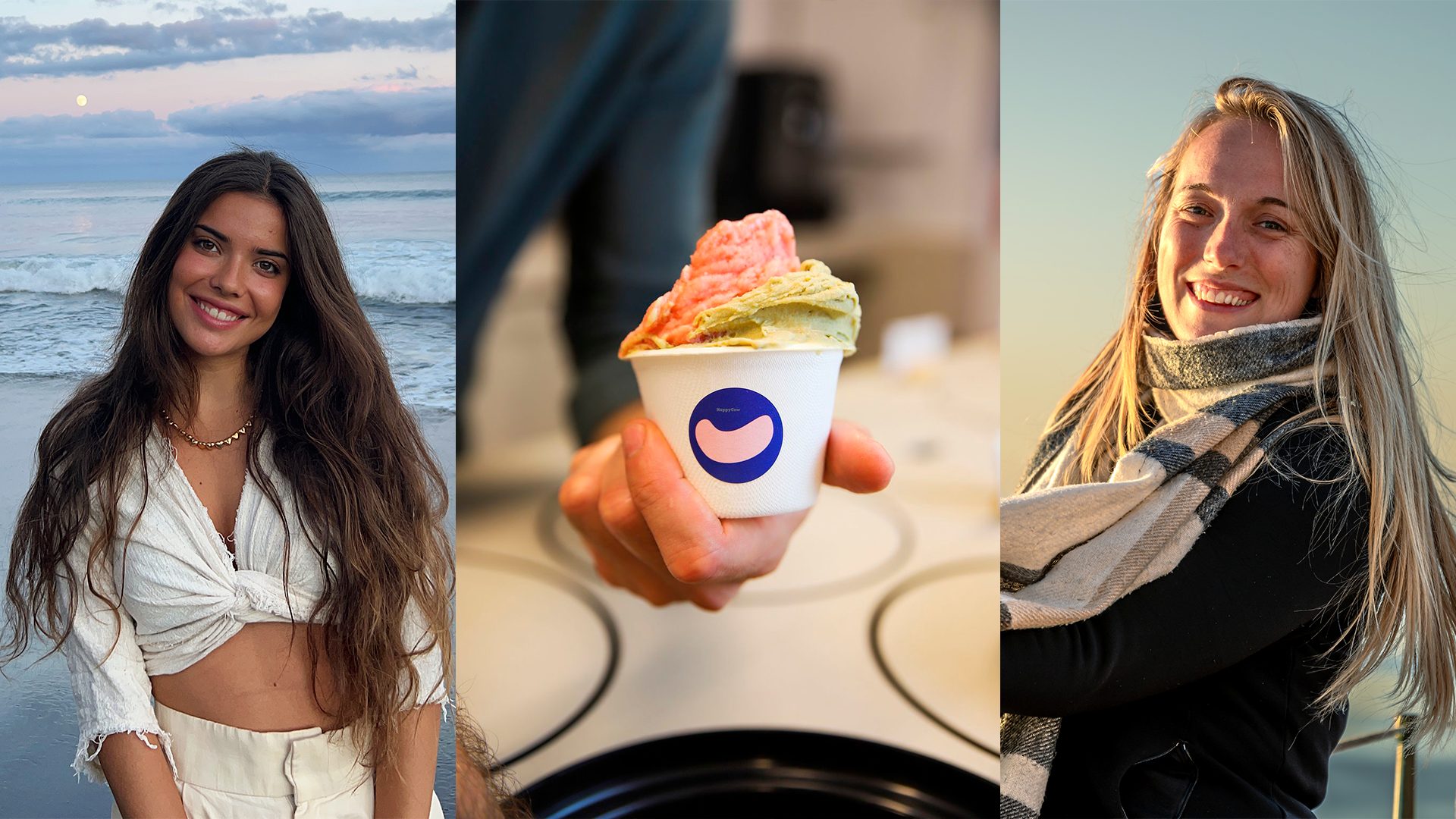 Helados para apoyar la conservación marina: Cajú Gelato y Acción océanos se unen por los pulpos, tiburones y cachalotes