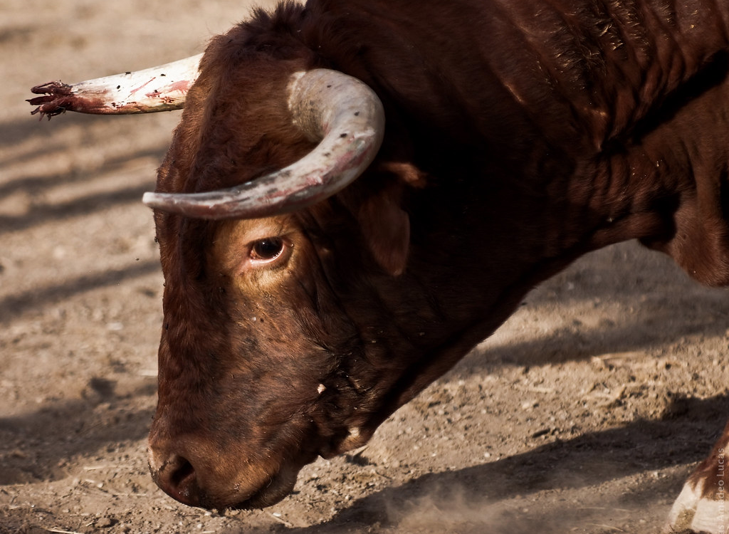 La Generalitat Valenciana ha duplicado el presupuesto destinado a la tauromaquia