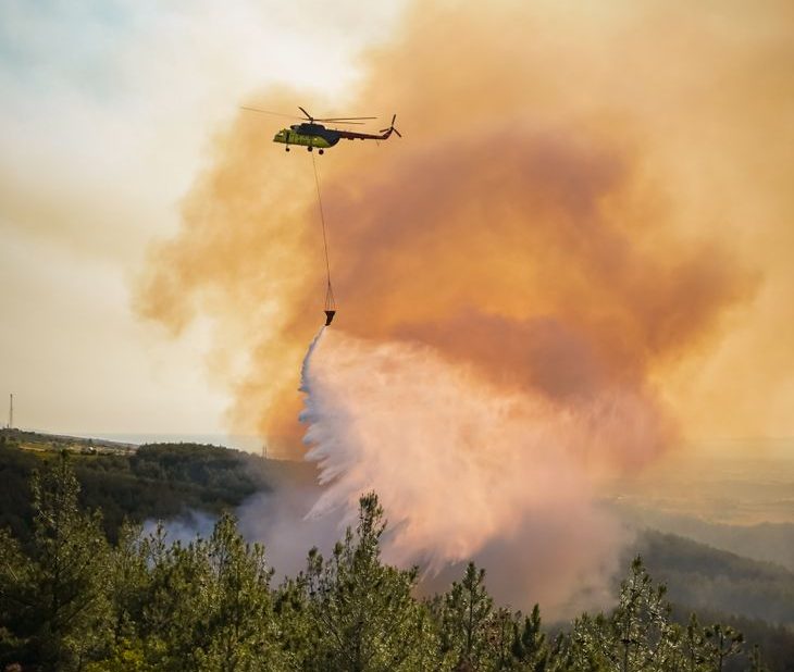 La ganadería nunca apagará incendios