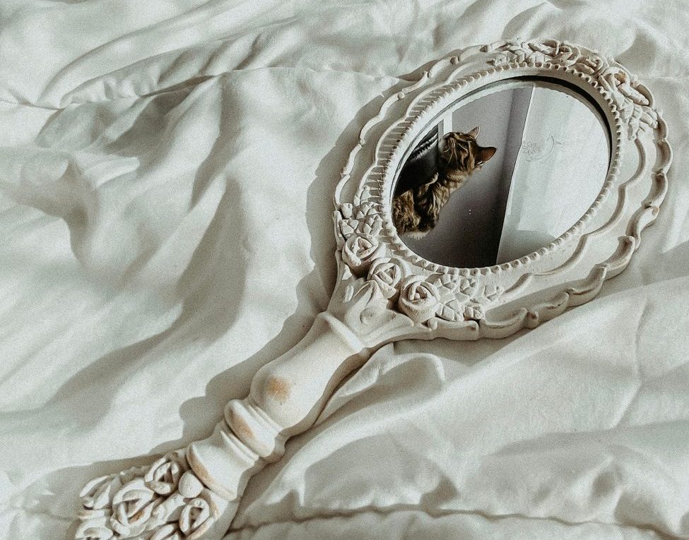 ¿Animales u objetos? La paradoja victoriana