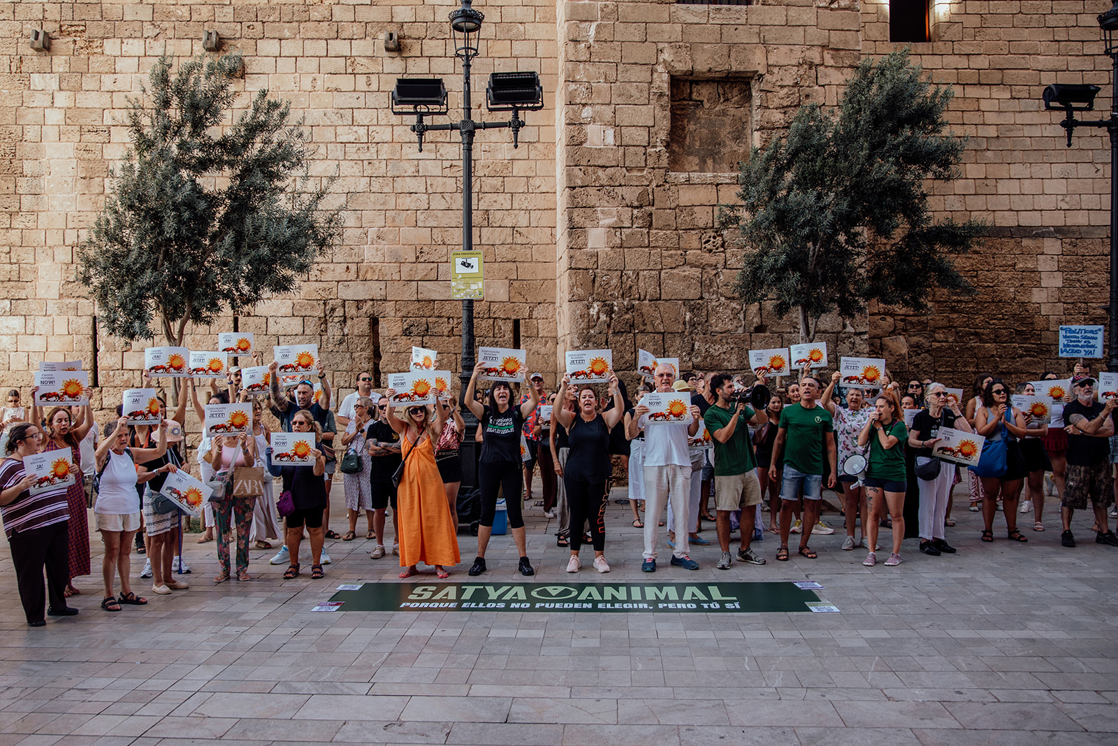 Más de 200 personas protestan contra las calesas de caballos en Palma de Mallorca