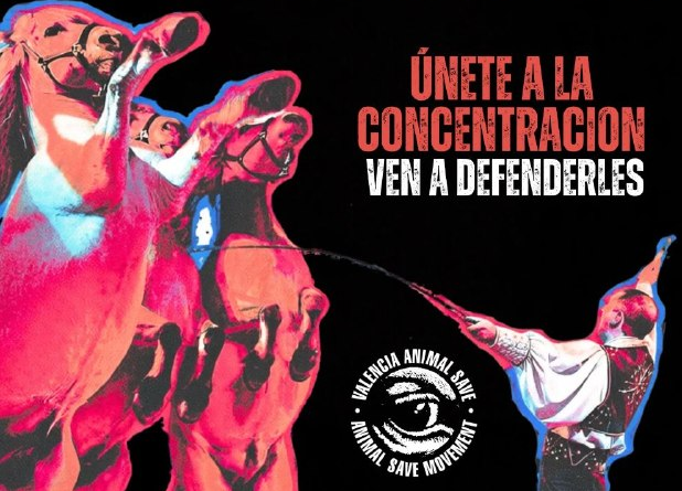 Protesta en Valencia este viernes contra el posible regreso del circo con animales