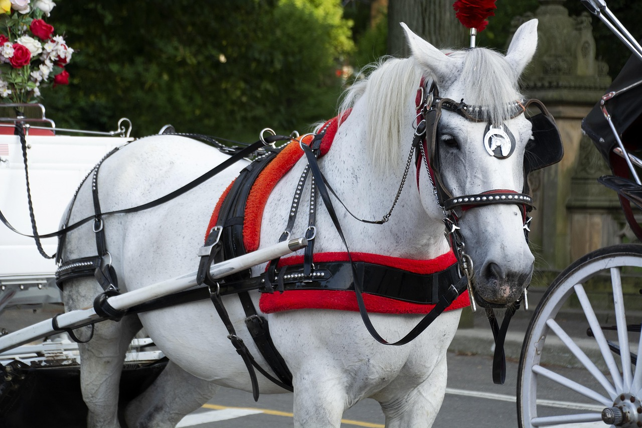 El Ayuntamiento de Nueva York votará el jueves la prohibición de los carruajes de caballos para 2028