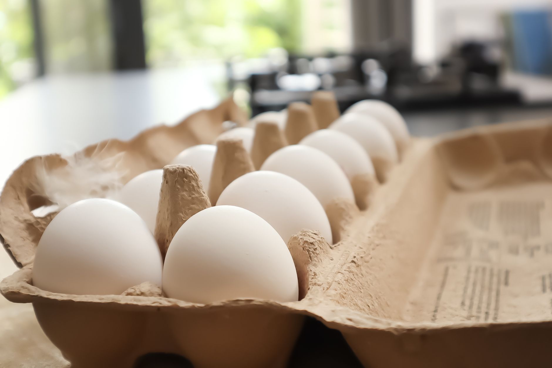 James Cromwell, actor: «No compréis huevos de gallinas criadas sin jaulas»